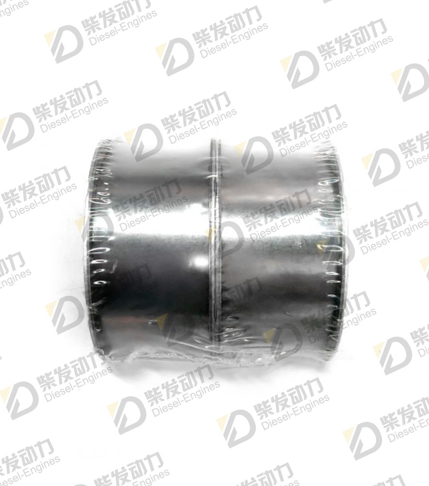 Camshaft bearing kit 21006109 